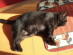 View full size picture