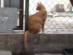 View full size picture