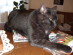 View full size picture