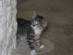 View full size picture