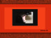 View full size picture