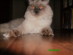 View full size picture