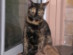 View full size picture