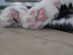 View full size picture