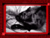 View full size picture