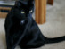 View full size picture