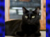 View full size picture