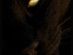 View full size picture