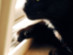 View full size picture