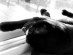 View full size picture