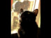 View full size picture