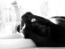 View full size picture