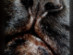 View full size picture