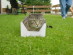 View full size picture