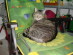 View full size picture