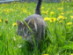 View full size picture
