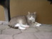 View full size picture