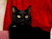 View full size picture