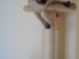 View full size picture