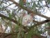 View full size picture