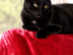 View full size picture
