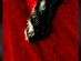 View full size picture