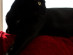 View full size picture