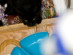View full size picture