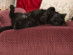 View full size picture
