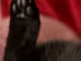 View full size picture