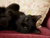 View full size picture