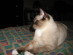 View full size picture
