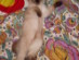 View full size picture