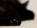 View full size picture