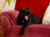 View full size picture