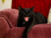 View full size picture