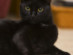 View full size picture