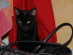 View full size picture