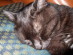 View full size picture