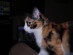 View full size picture