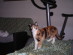 View full size picture
