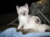 View full size picture