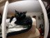 View full size picture