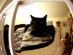View full size picture