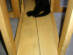 View full size picture
