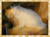 View full size picture
