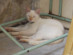 View full size picture