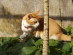 View full size picture
