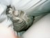 View full size picture