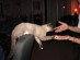 View full size picture
